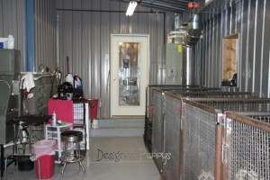 Interior of dog kennel