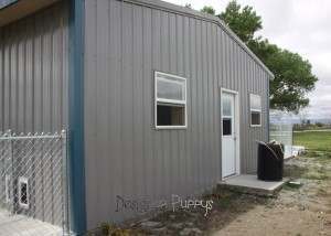 Exterior of dog kennel