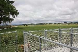 Looking to the West out at our Horses in pasture